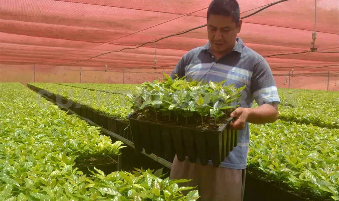 Es importante mencionar que la Sagarpa entregó en tiempo y forma los recursos para beneficiar a los productores. CP