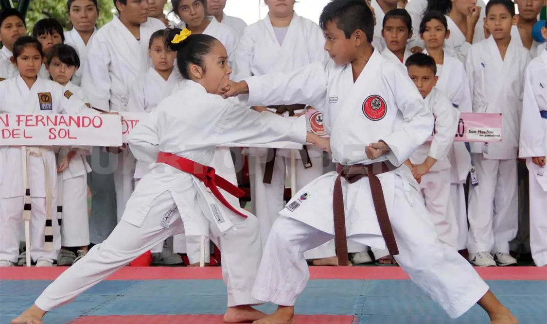 Realizarán Seminario de Karate Deportivo