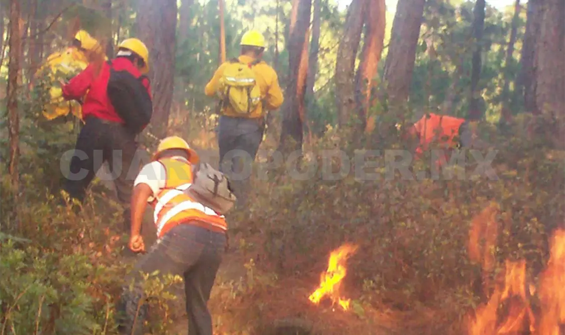 Los municipios de la Frailesca concentran el mayor número de incendios y superficies afectadas. CP
