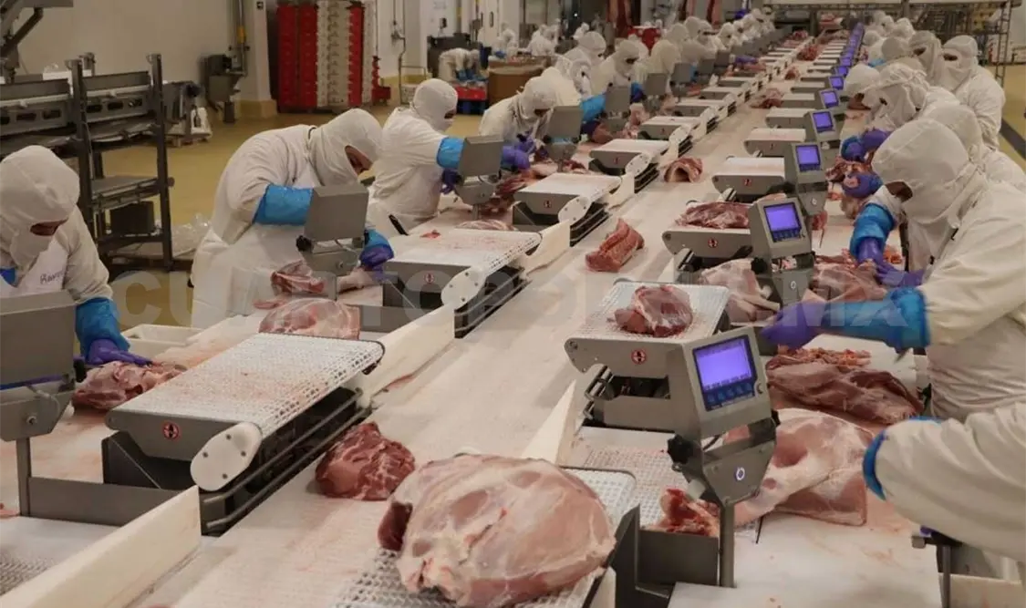 Llega a México carne de cerdo española