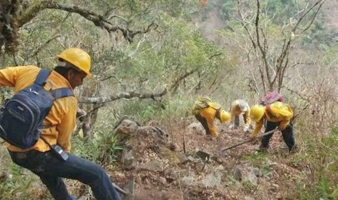 Las brigadas contra incendios se mantienen alertas para sofocar cualquier eventualidad que pudiese suscitarse. CP