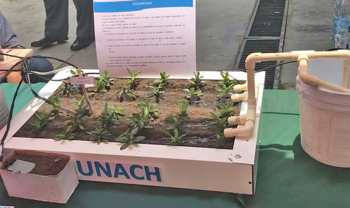 El proyecto acaparó las miradas, ya que busca tener control del crecimiento de las plantas a través del riego adecuado. CP