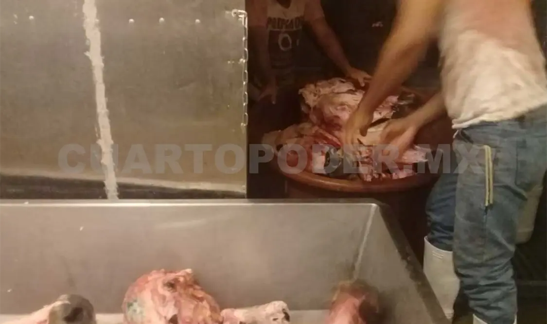 Fueron decomisadas 8 hieleras de productos cárnicos por incumplir el protocolo de higiene. Ramón García/ CP