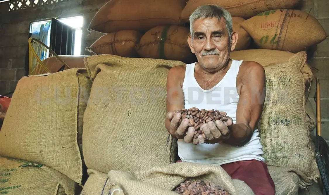 La producción de cacao orgánico ha representado una verdadera opción económica para decenas de familias del Soconusco. Óscar León/ CP