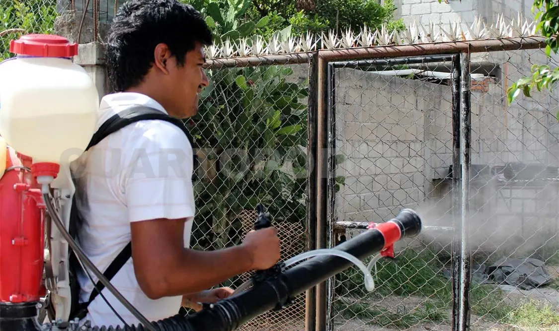 Mantienen combate contra dengue, zika y chikungunya