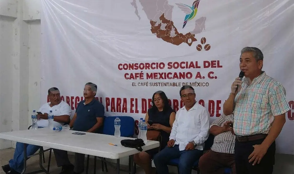 Piden crear el Instituto Nacional del Café Mexicano