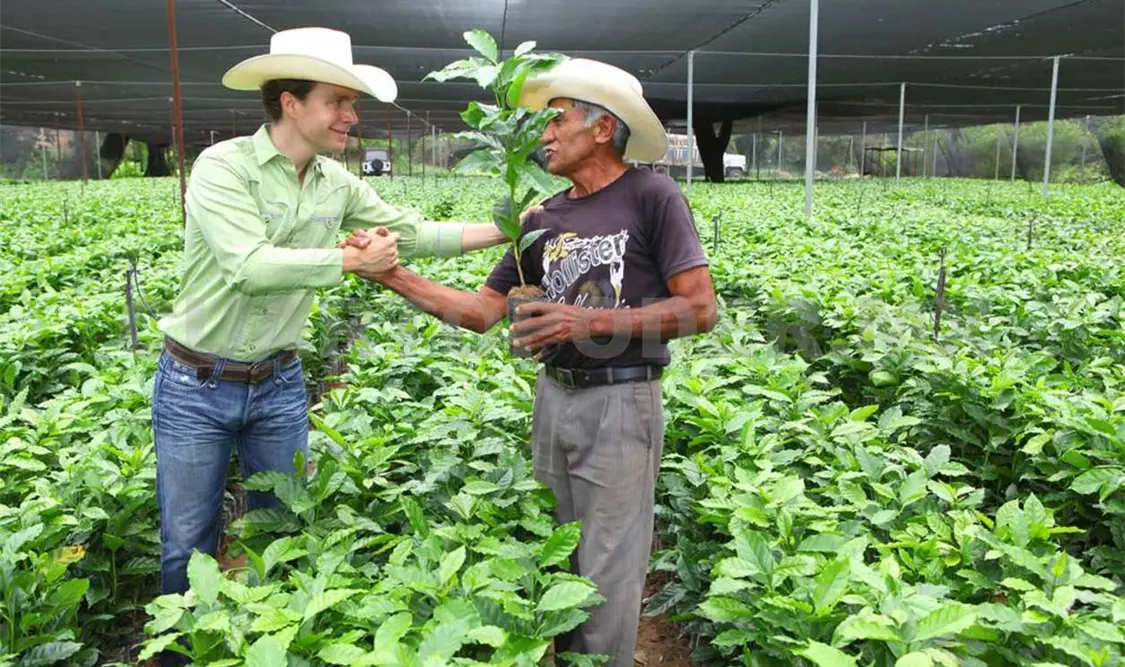 Gobierno de Velasco Coello fortalece cafeticultura