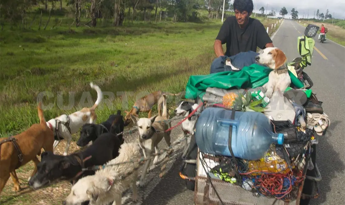 El activista dice que le falta ascender la Sierra Madre de Chiapas para llegar a la costa, acompañado de sus 12 perros.