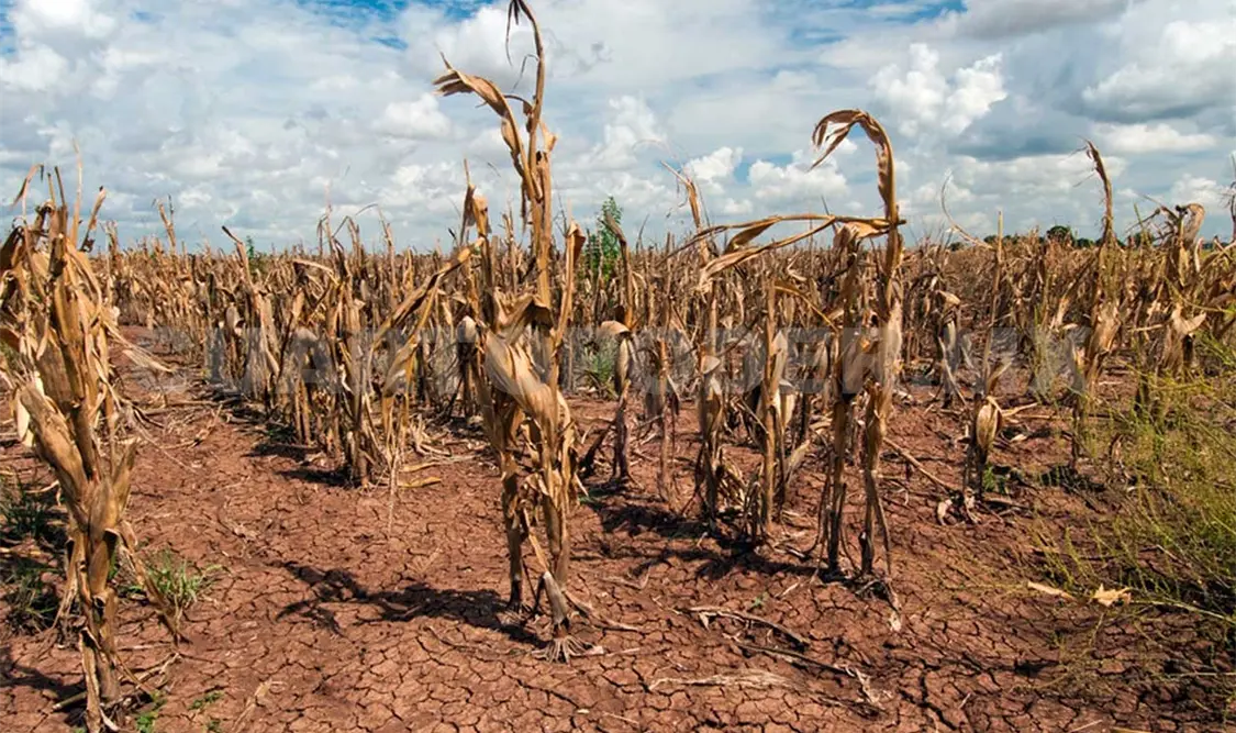 La onda de calor, durante varios días, afectó a distintas entidades del país. Guillermo Ramos / CP