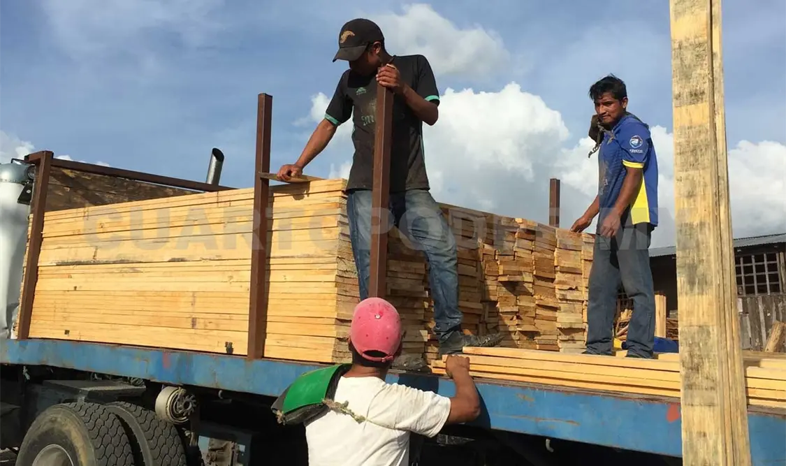 Vocación forestal por naturaleza