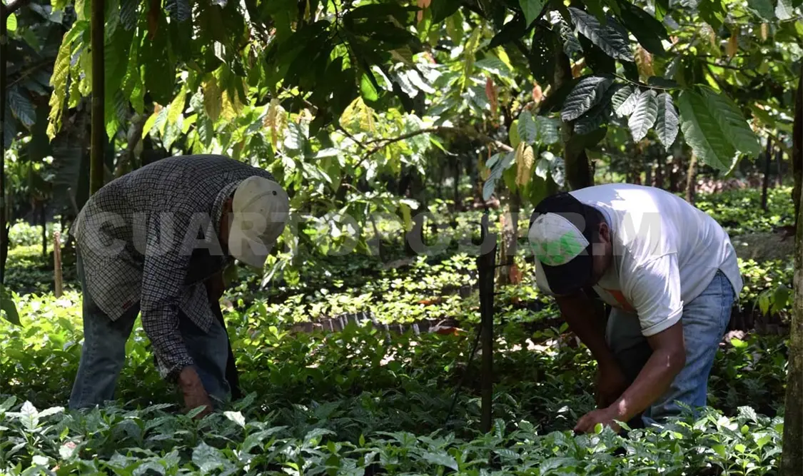 El campo necesita ser transformado