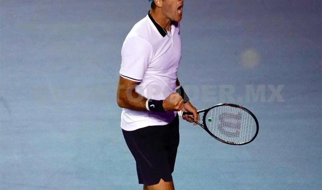 Juan Martín del Potro es baja del Master 1000