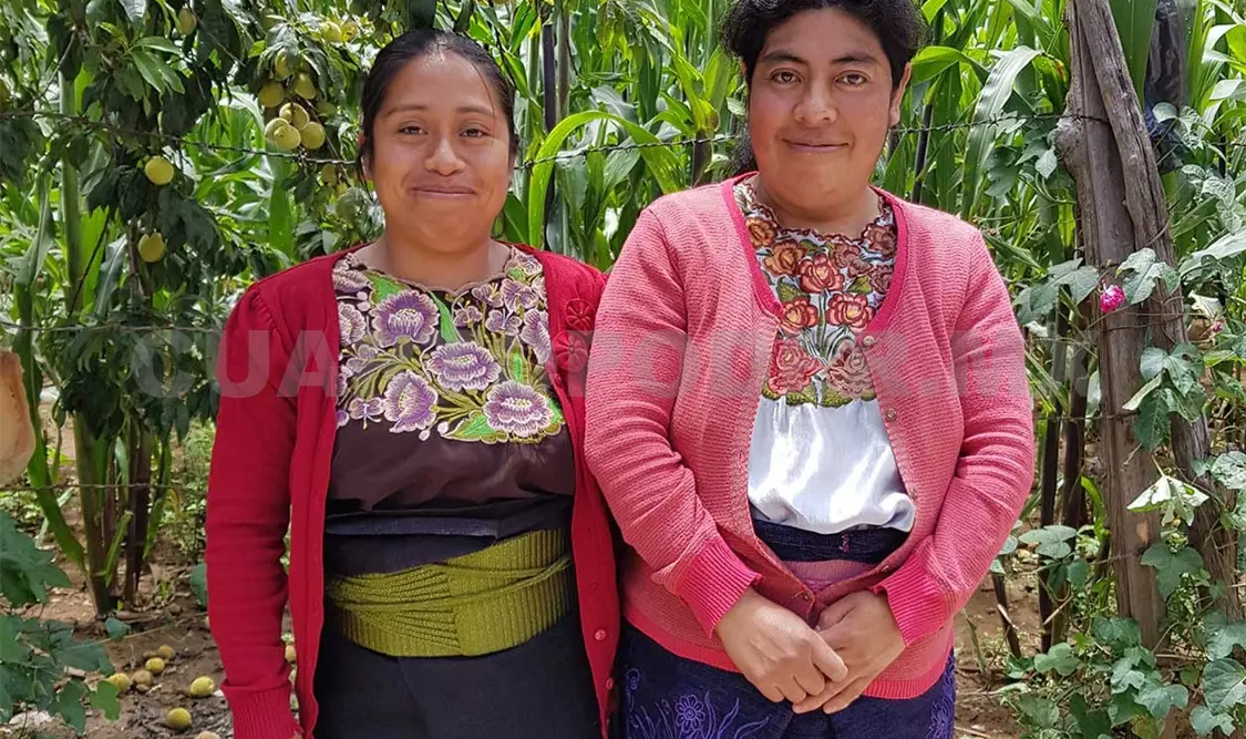 Los pueblos originarios, vivos en el arte textil