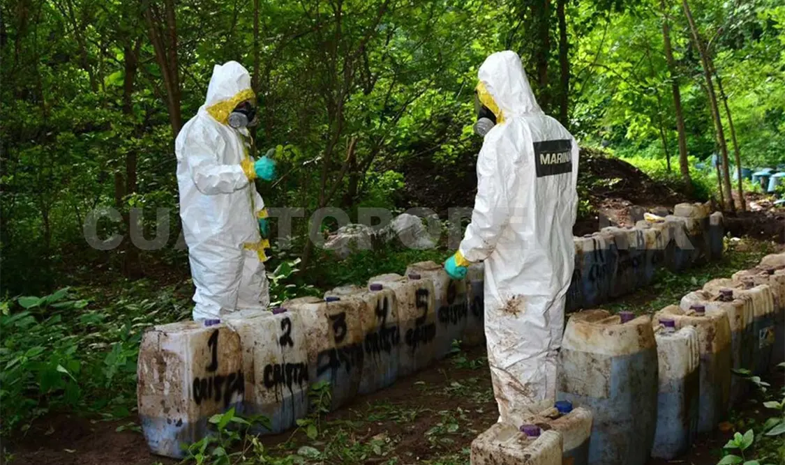 Aseguran 50 toneladas de droga sintética