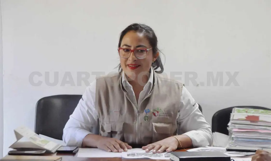 Reforestarán 4 mil 500 hectáreas en Chiapas
