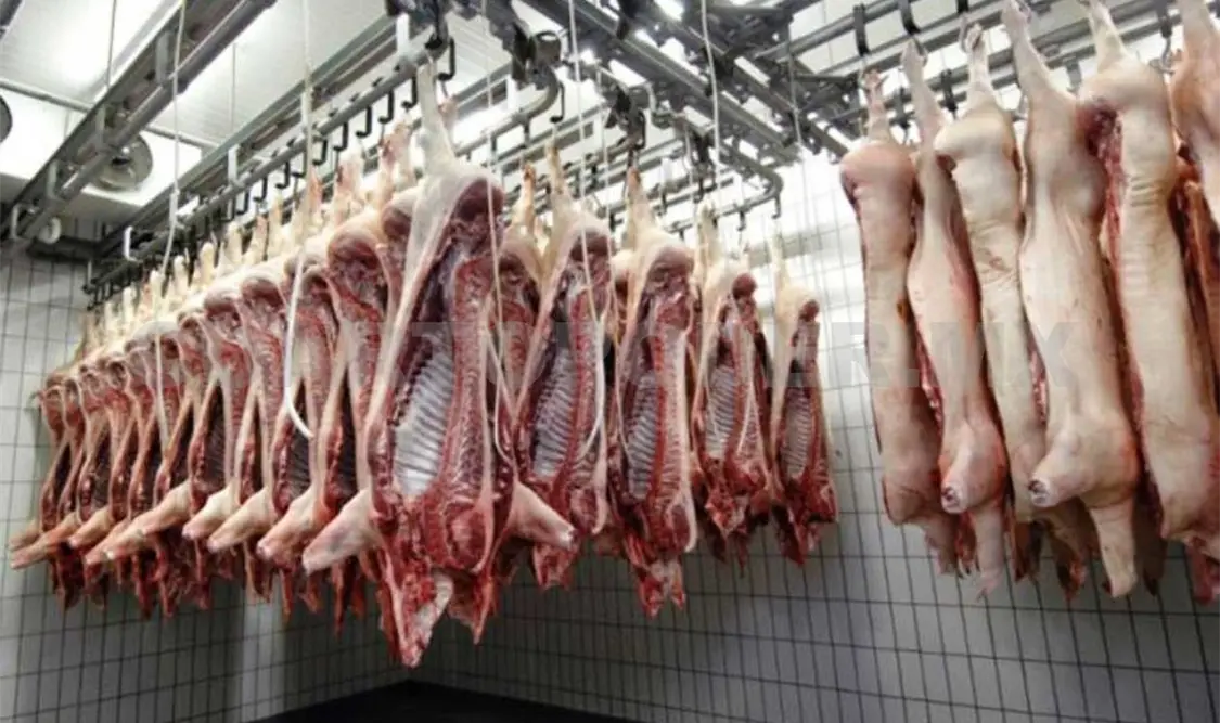 Necesario certificar rastros porcícolas