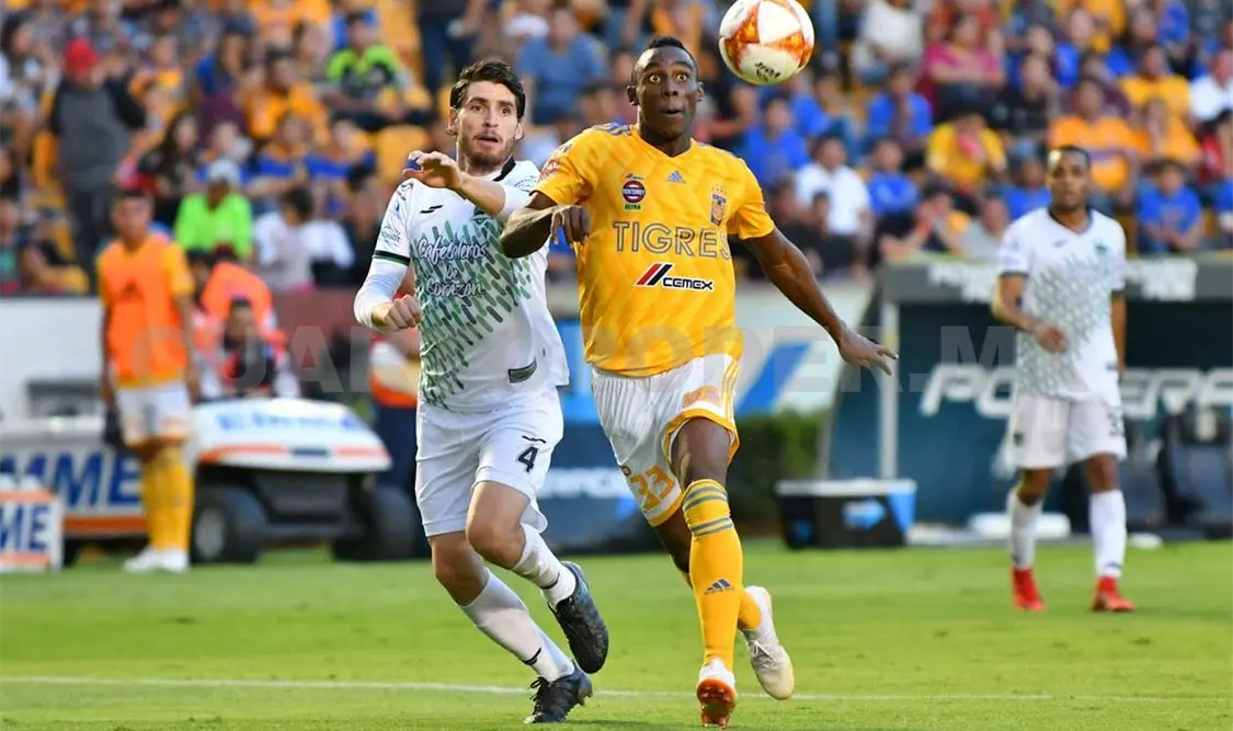 Tigres quiere volver a ganar en Liga MX