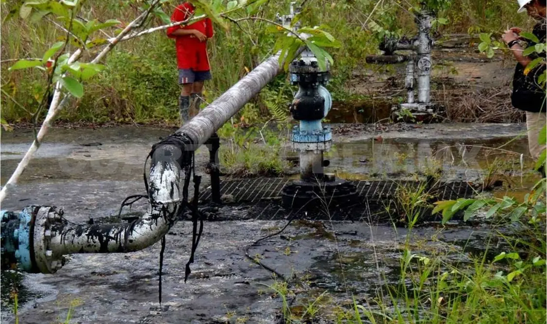 Buscan reformar Ley de Zonas Económicas