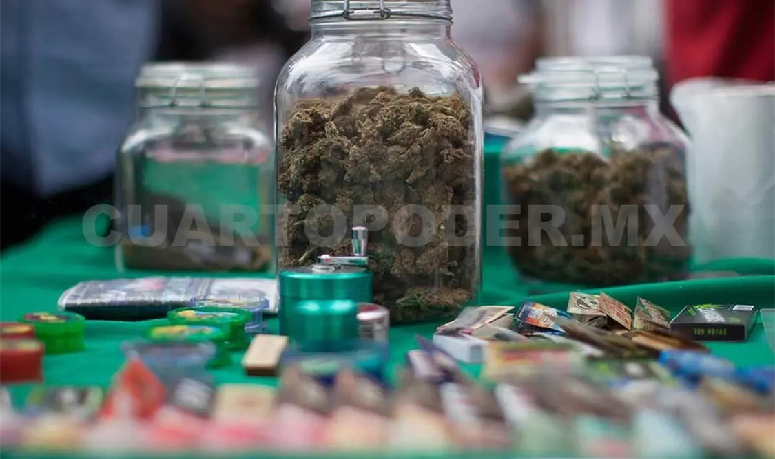 SCJN avala uso medicinal de cannabis