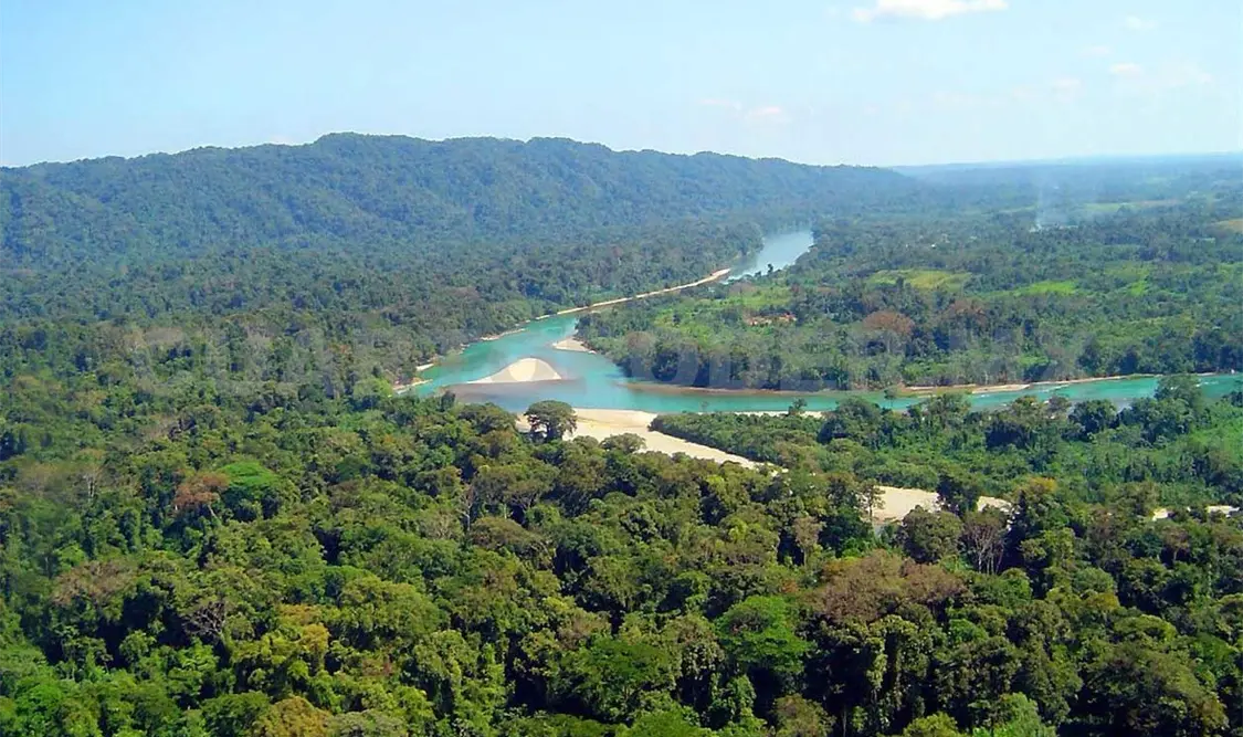 Frenan presa en la Selva Lacandona