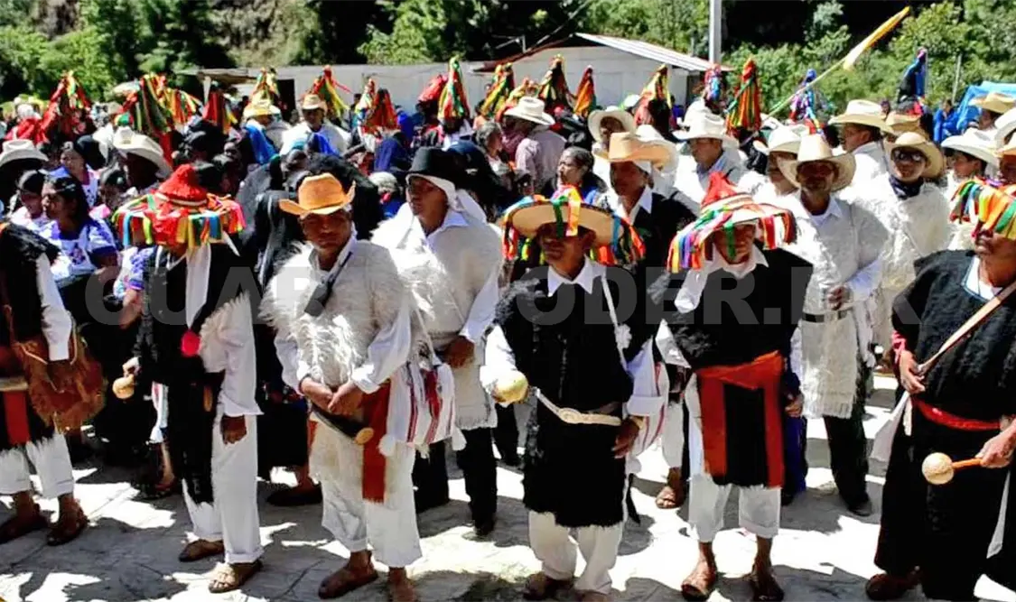 Validan triunfo del PVEM en Rincón Chamula San Pedro. Agencias
