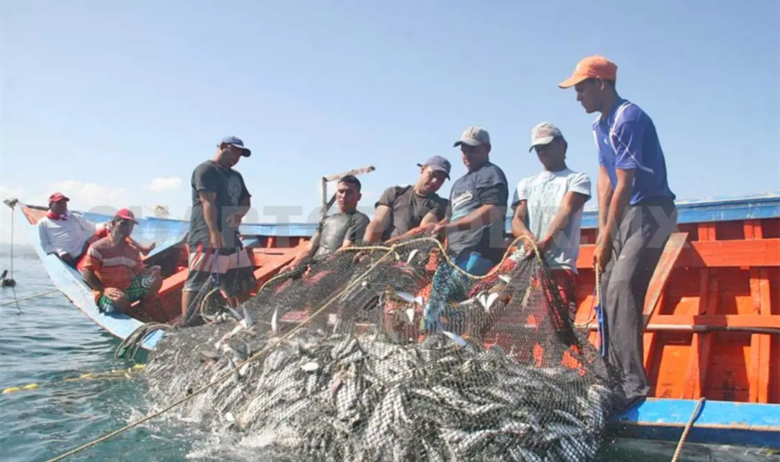 Chiapas ocupa el primer lugar de pesca en el país. Guillermo Ramos / CP