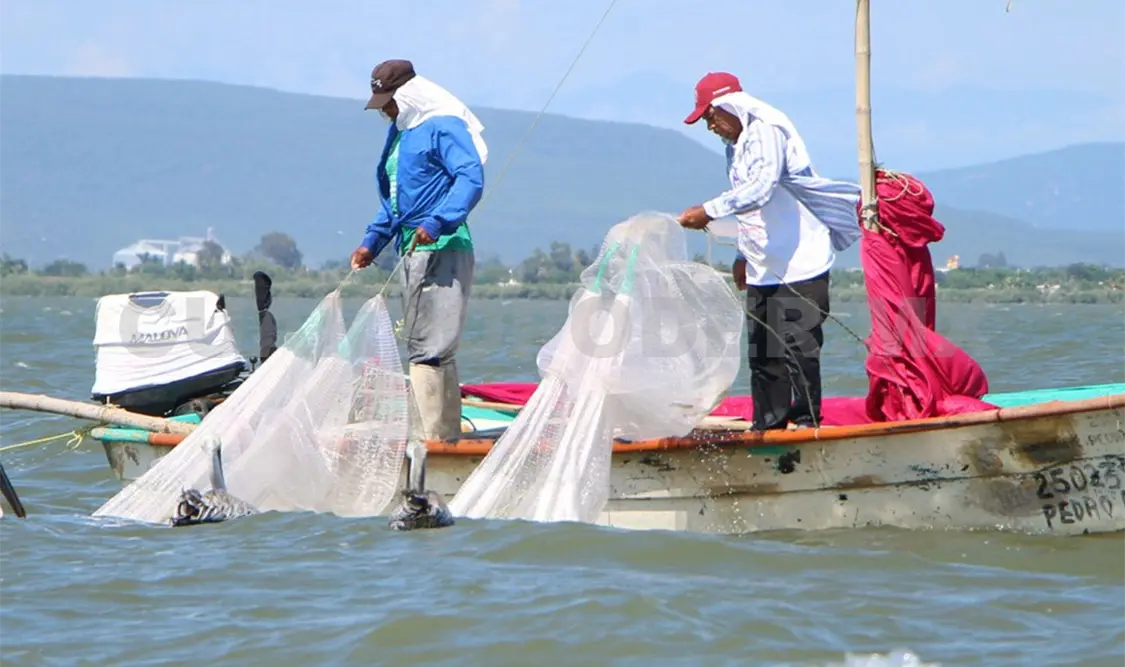 Realizan reunión para evaluar pesca en Costa