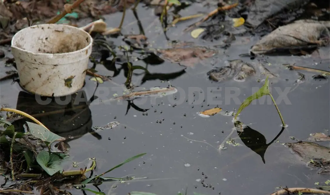 Piden a la familias realizar acciones preventivas para combatir al dengue. CP