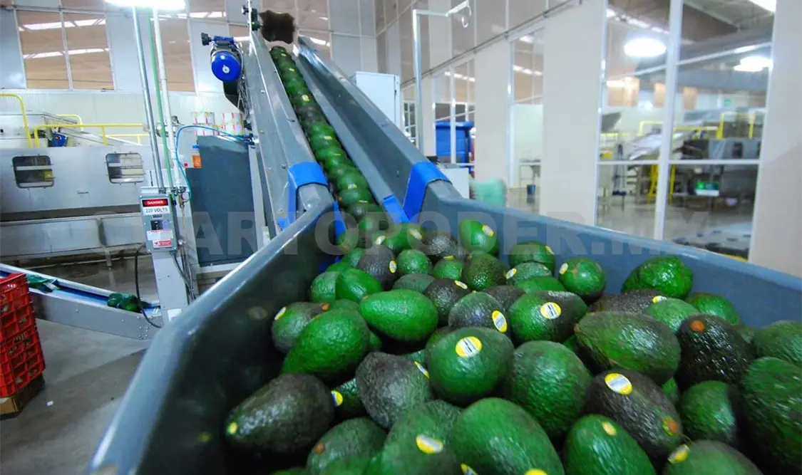 Comercio agroalimentario registra superávit récord