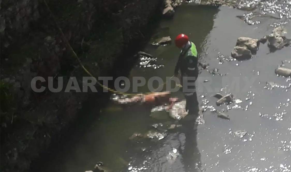 Hombre pierde la vida al colapsar al Sabinal