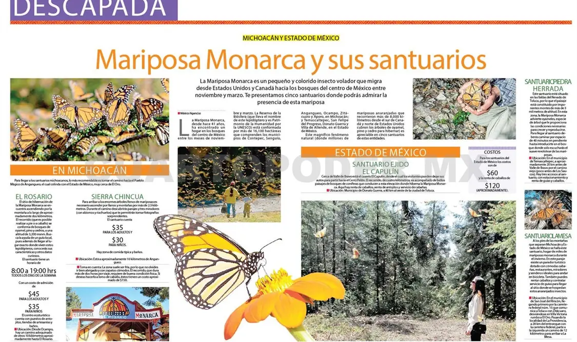 DESCAPADA