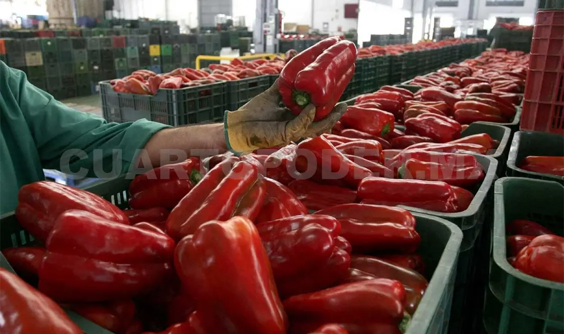 Agro mexicano mantiene ruta de crecimiento