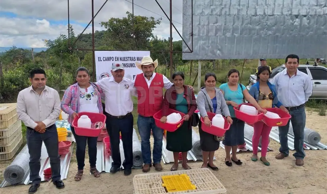Atiende producción de maíz y frijol la Sagarpa