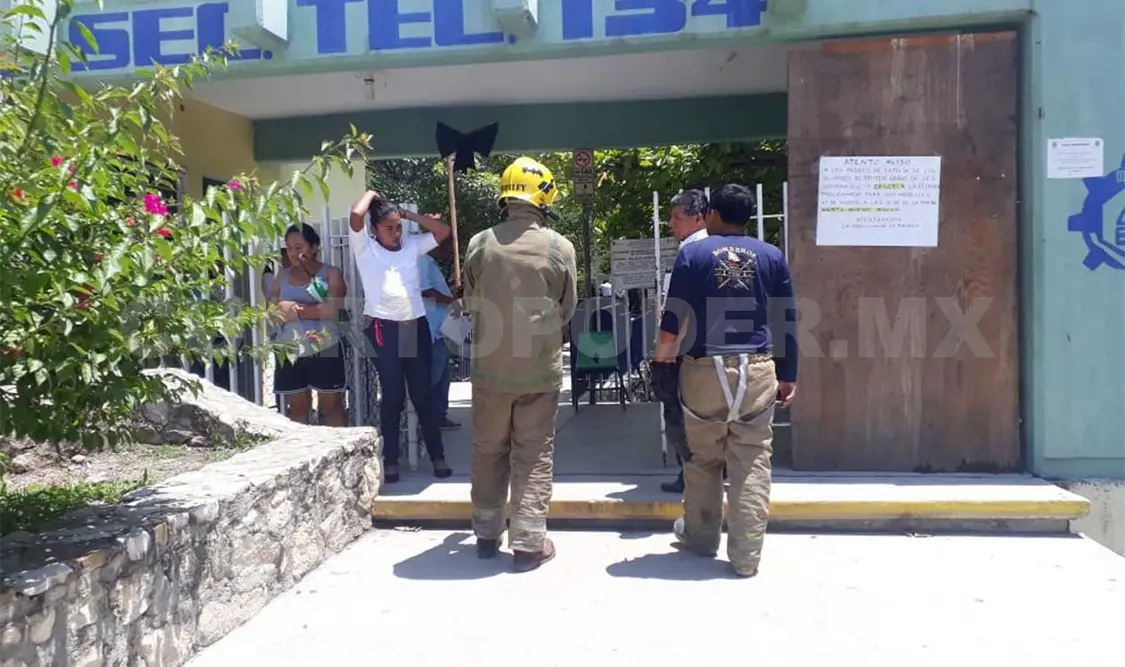 Estudiantes de secundaria son atacados por abejas