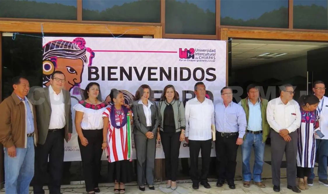Traducen ley en tzotzil, tzeltal y zoque