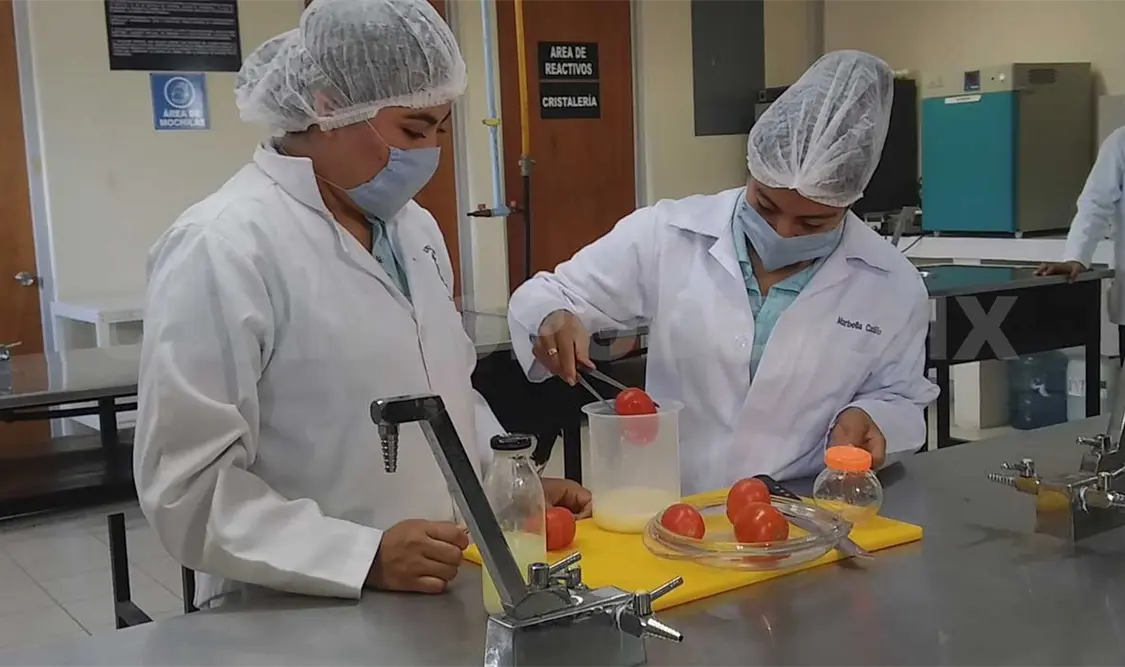 Crean método para dar mayor vida al jitomate