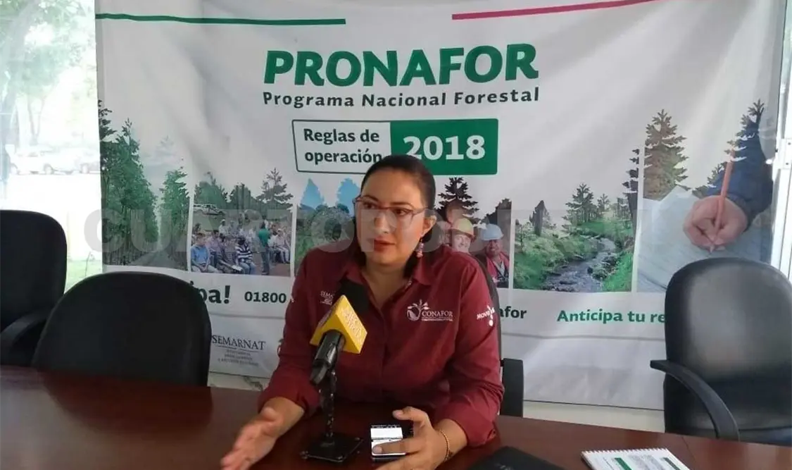 Avanzan programas forestales en Chiapas