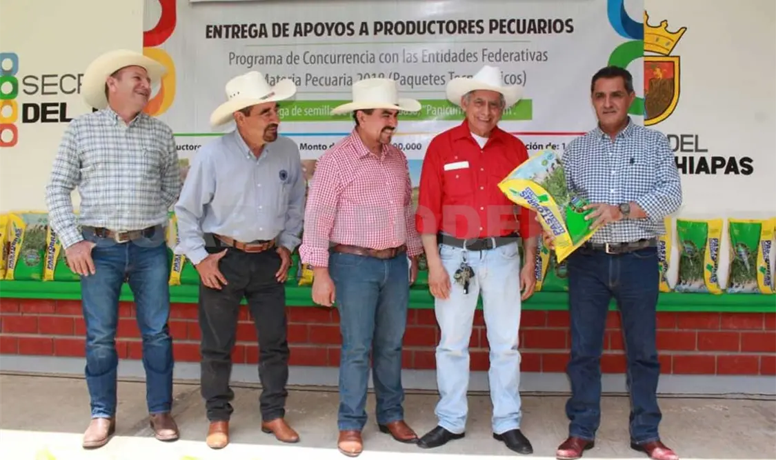 Fueron 6.7 toneladas de semilla de pasto mejorado las que se entregaron este jueves. CP