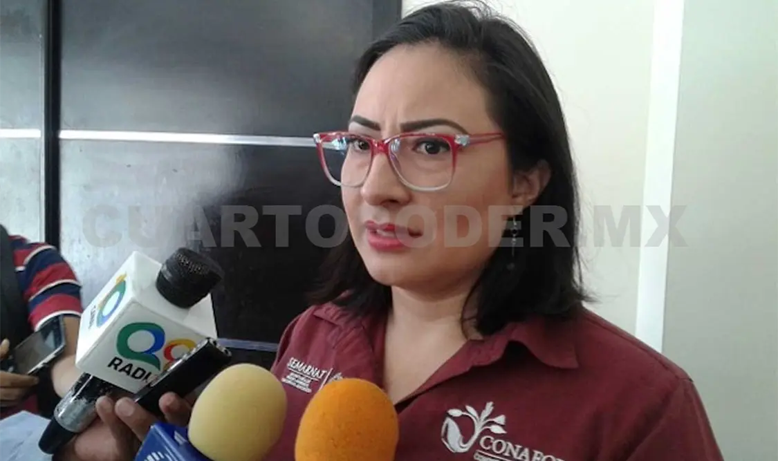 Valeria Madrigal Sánchez, gerente de la Conafor en Chiapas explicó que estos trabajos buscan mejorar las condiciones ambientales. CP
