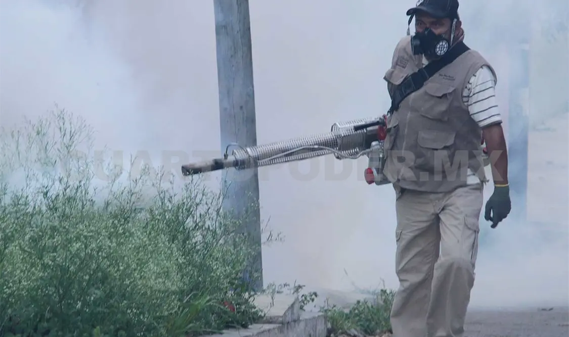 La fumigación no es un mecanismo eficaz para acabar con el Aedes aegypti. Óscar León / CP