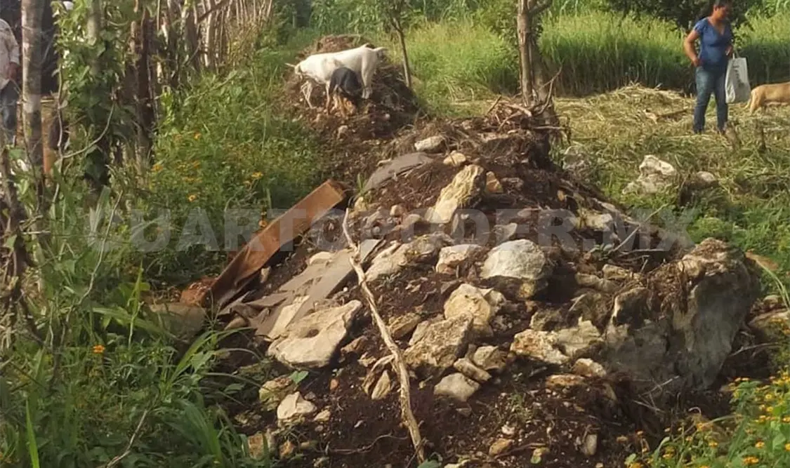 Vecinos de la colonia Flor de Mayo codiciaron lo ajeno e invadieron un predio de 11 hectáreas. Avisaín Alegría / CP