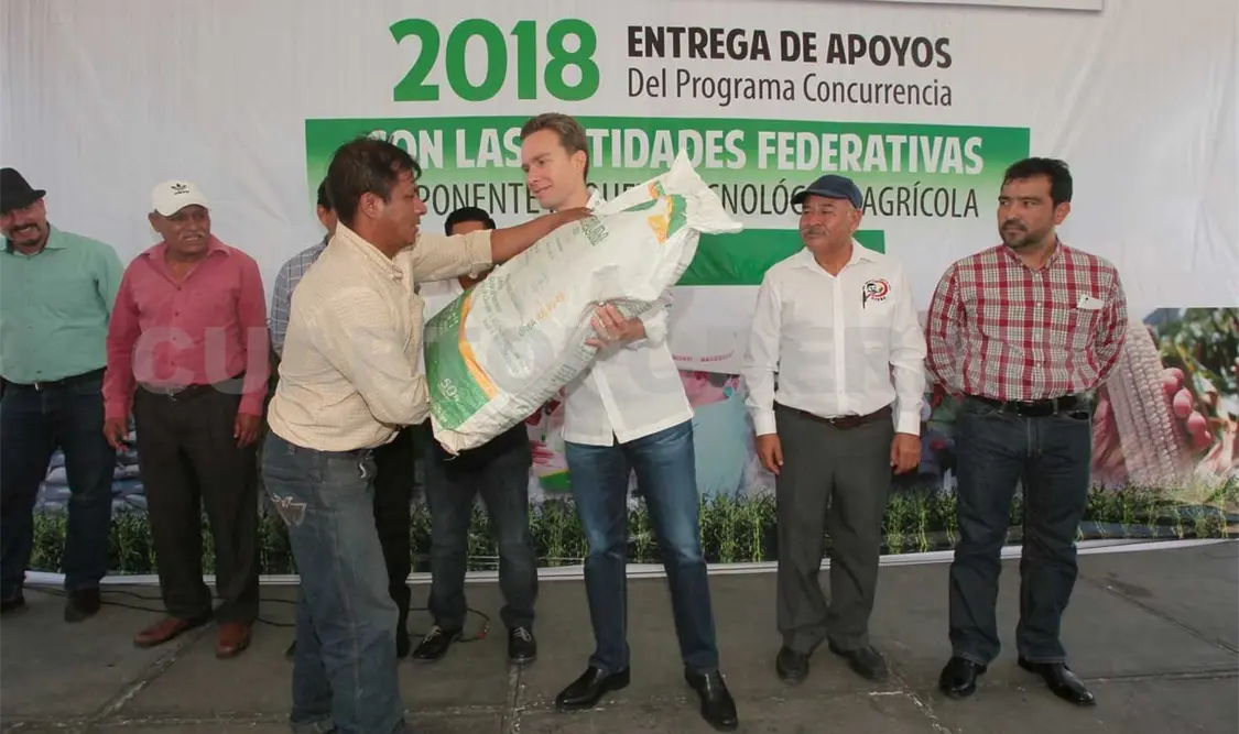 Beneficia Velasco con fertilizante a campesinos