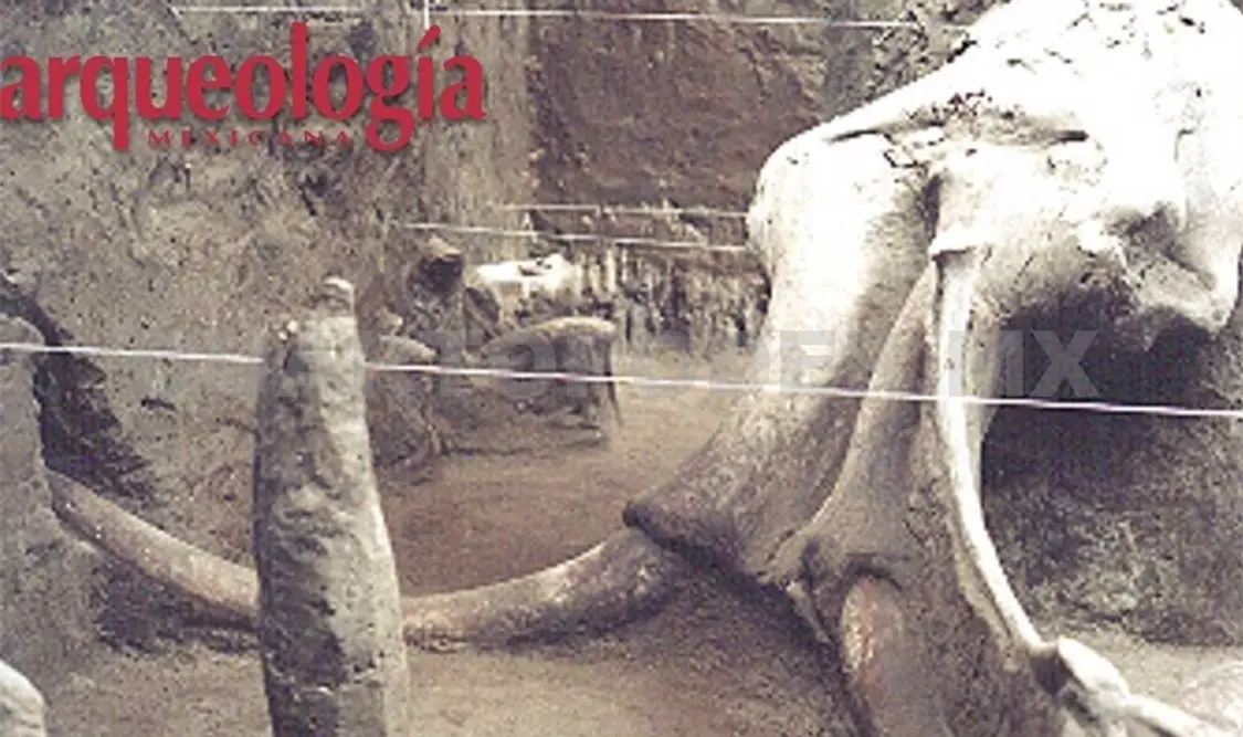 Esta exhibición permanecerá hasta el 25 de noviembre en la Sala Segundo Nivel del Museo Nacional de las Culturas del Mundo. Cortesía