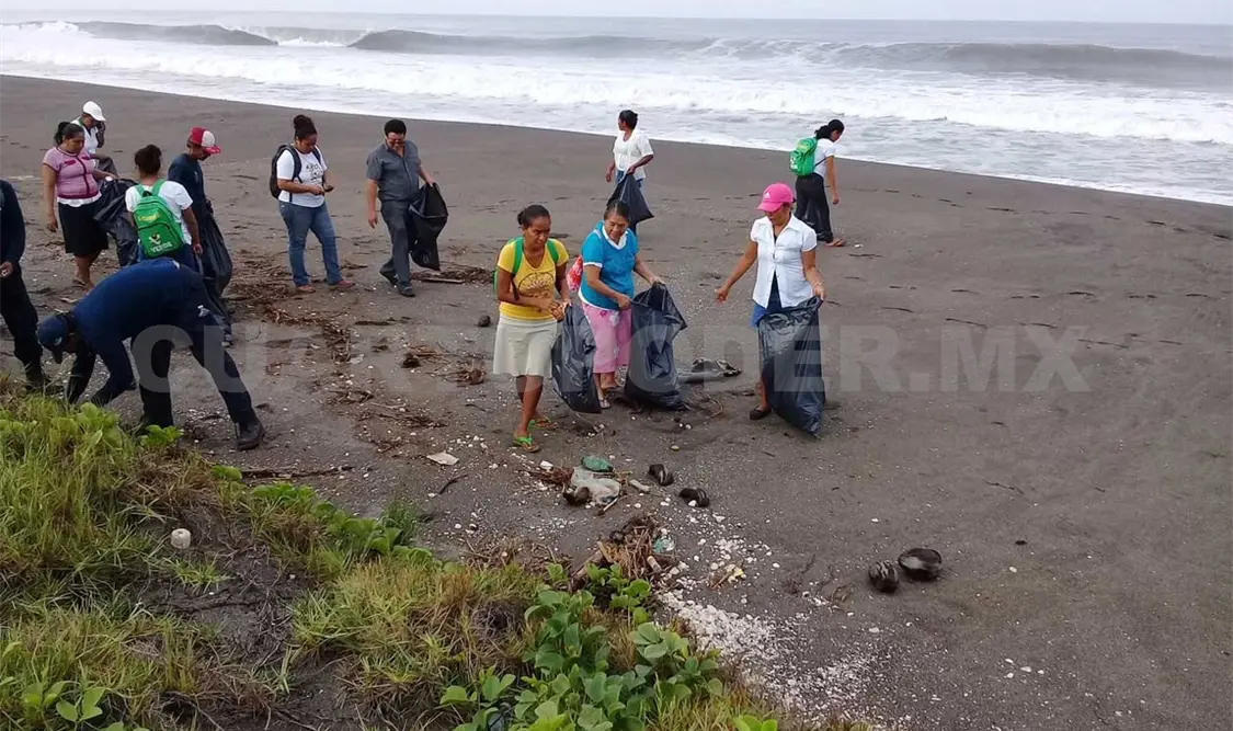 Emprenden programa de conservación de playas