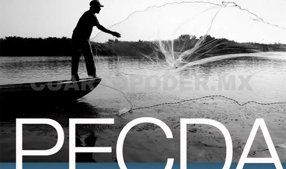 Abren convocatoria Pecda 2018-2019