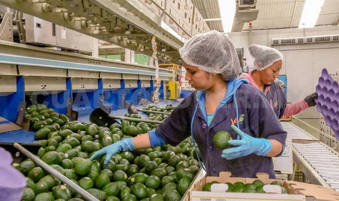 México es un país solvente y estable