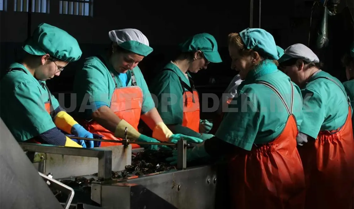 Acertada consulta Plan de Gobierno 2018-2024