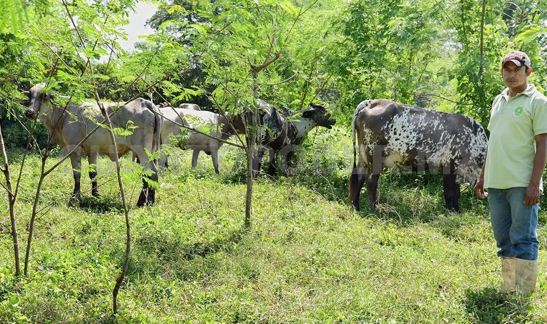 Mediante este plan se busca frenar las afectaciones ambientales derivadas de la agricultura invasiva y cambiarla por un modelo sustentablel. CP