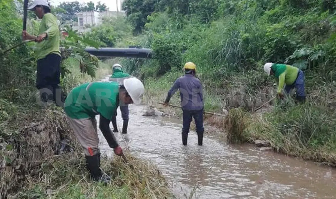 Basura y maleza es lo que se encuentran en gran parte de los ríos y arroyos en Tuxtla. CP