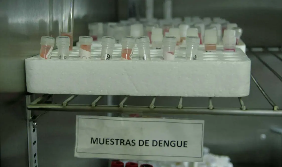 Existe inusual demanda por casos de dengue